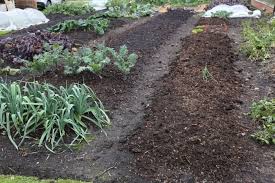 It also makes a good mulch around tomatoes, cucumbers, and squash with worms and other soil organisms working it into the earth. Advice On Making Compost Charles Dowding