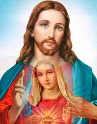 Vitamin D sources for healthy bones and muscles