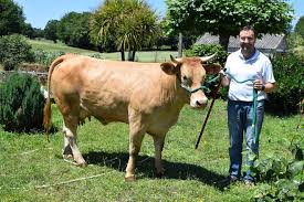 Entre y conozca nuestras increíbles ofertas y promociones. Finca Villadangos Una Ganaderia Lider En Genetica De Rubia Gallega Campo Galego