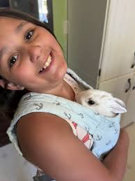 Rabbits' personalities and preferences for being picked up and cuddled