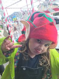 Pinola Family Christmas Display