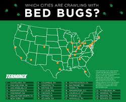 Bed bugs control services in delhi cannot get better than what we provide for! Terminix Reveals Its List Of The Top 25 Most Bed Bug Infested Cities Business Wire