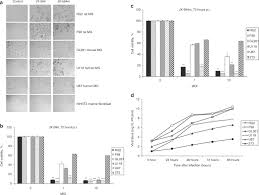 Check spelling or type a new query. Efficacy And Safety Toxicity Study Of Recombinant Vaccinia Virus Jx 594 In Two Immunocompetent Animal Models Of Glioma Molecular Therapy
