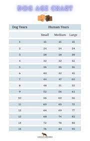 Dog Years Dog Age Chart German Shepherd Country