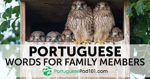 Brazilian portuguese is the set of dialects of the portuguese language native to brazil and the most influential form of portuguese worldwide. Your Guide To Talking About Family In Portuguese