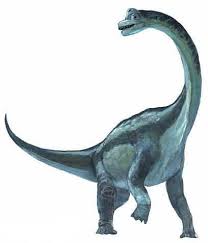 Longneck Brachiosaurus Dinosaur Weird Creatures