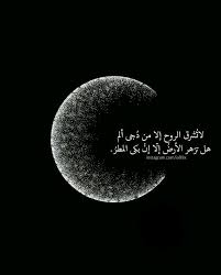 لا تشرق الروح إلا من دجي ألم هل تزهر الأرض إلا أن بكي المطر Arabic Quotes Beautiful Arabic Words Words Quotes