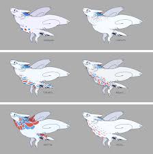 Togekiss Variations Pokemon Breeds Pokemon Species Pokemon Badges