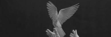 Where can i find the bts headers on tumblr? Jimin Pack Twitter Layout Header Bts Icon Aesthetic Kpop Twitterheader Twitter Header Image Twitter Header Aesthetic Twitter Header