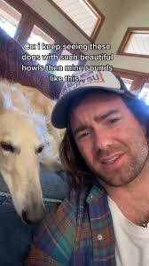 Borzoi Howling Video