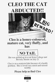 Help get your lost / missing dog, cat, bird or other pets back faster with our free poster template. The Wonderful Art Of Missing Pet Posters Amusing Planet