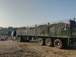 160 osób lubi to · 1 osoba mówi o tym. Resourceco Asia M Sdn Bhd Posts Facebook