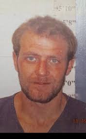 Agencies team up to catch suspect