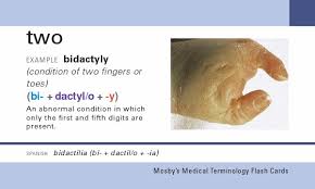 Medical terminology root words list & flashcards this flashcard set will help you learn how to dissect unfamiliar. Mosby S Medical Terminology Flash Cards Ankiweb