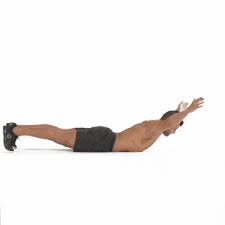 Researchers have reported that many students and people. 11 Best Bodyweight Back Exercises Back Workouts For Men
