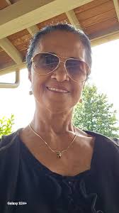 Deer-resistant native perennials and Christmas ferns