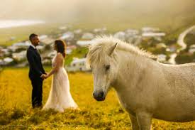 Floral wedding fall wedding floral bouquets purple colors. 9 Ways To Incorporate Horses Into Your Wedding