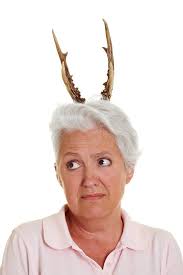 155 Horn Headdress Stock Photos