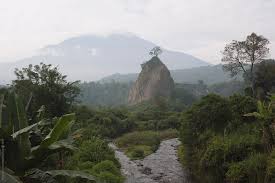 Maybe you would like to learn more about one of these? Ngarai Sianok Sumatra Poranthon Jackson