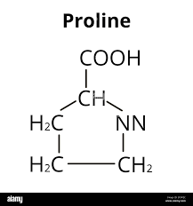 Amino acid Proline. Chemical molecular formula proline amino acid. Vector  illustration on isolated background Stock Vector Image & Art - Alamy