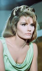 Suzanne Lloyd and Tracey E. Bregman's television careers