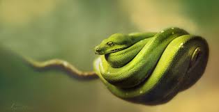 A Selection Of Photos With A Green Theme