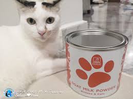 Goat milk can successfully replace cow milk in diets of those who are allergic to cow milk. Parie Goat Milk For Kitten And Cats Malaysia Selina Wing Deaf Geek Blogger