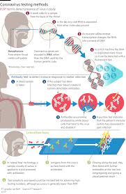 It is an antigen test that provides results in 30 minutes and is highly regarded for quickly identifying symptomatic and asymptomatic sufferers. Critics Point To Dangers Of Rapid Covid Tests Financial Times