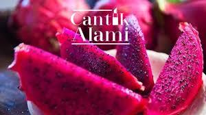 Rasanya, segar, segar dan segarrr.!! Cara Membuat Jus Buah Naga Merah Yang Nikmat Dan Tidak Langu Cocok Untuk Smoothie Bowl Health Liputan6 Com