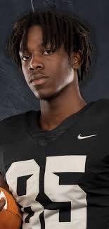 Michigan high school football: 2022 Free Press All-West team