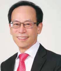 Full article: The domain mixing effect