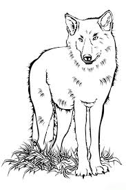 Ausmalbilder von wölfe in der kategorie tiere. Malvorlage Wolf Ausmalbilder Ausmalen Und Malvorlagen Cute766