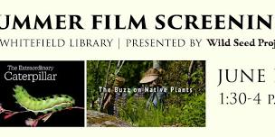 Summer Film Festival with The Wild Seed Project