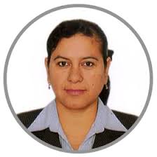 FUTURO DE LAS INVERSIONES MINERAS Y LAS RELACIONES SOCIOAMBIENTALES