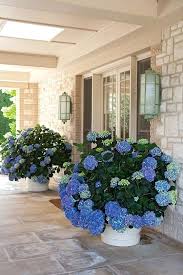 Front door planter ideas brilliant planters flower pots pretty. Front Door Flower Pots Ideas 9 Savillefurniture