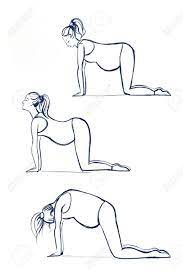 Yoga can be beneficial throughout all three trimesters of pregnancy. Cat And Cow Yoga Pose Sketch On White Background Illustration Stock Photo Picture And Royalty Free Image Image 136383079