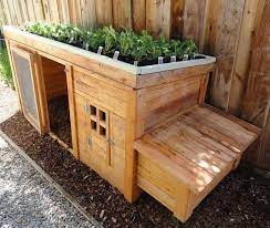 This herb, easy to grow but also found in the wild, can keep away external parasites like mites, lice, and fleas. Pin On Spring Is Near I Will Have A Garden This Year