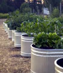 Simplistic design and genuine quality. Inside Urban Green International Galvanized Troughs Converted To Sub Irrigation Planters Sips