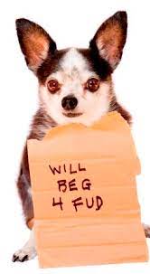Counterfeit Pet Foods Consumer Warning