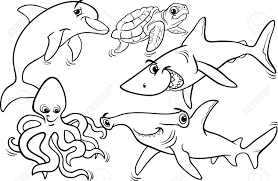 Black And White Cartoon Illustrations Of Funny Sea Life Animals Royalty Free Cliparts Vectors And Stock Illustration Image 29650734