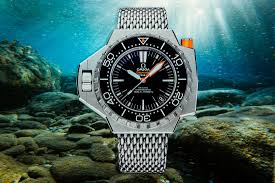 Image result for diving watch