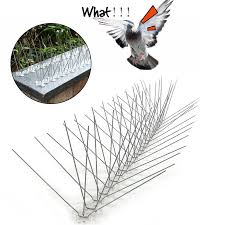 How do i get rid of pigeons. 2m 10m Bird And Pigeon Spikes Pest Repeller Anti Bird Pigeon Spike For Get Rid Of Pigeons And Scare Birds Pest Control Repellents Aliexpress