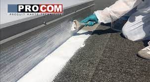 Resine D Etancheite Etancheite Toiture Toit Plat Peinture D Etancheite Procom Peintures Daniel Etancheite Toiture Toiture Reparation Toiture