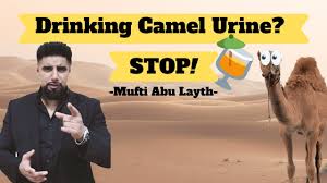 Prophetic medicine advocate drinking camel urine to prevent coronavirrus in an unkonwn location in iran. Drinking Camel Urine Mufti Abu Layth Youtube