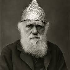 Challenging Darwin's Theory of Evolution and the Origin of Life