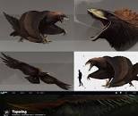 Image result for volven