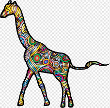 Gambar bintang, gambar bintang laut, gambar binatang, gambar binatang buas, gambar binatang lucu, gambar binatang liar, gambar bintang bintang ilustrasi gratis: Jerapah Okapi Jerapah Mamalia Hewan Warna Png Pngwing