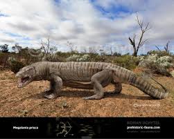 Megalania Is An Extinct Giant Lizard That Live In Australia In The Pleistocene Era It Belonged To The Family Of Mo Extinct Animals Prehistoric Animals Animals