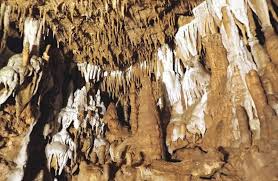 Kid zone worksheets has an entire page of worksheets for each state. Florida Rocks Minerals Florida Department Of Environmental Protection