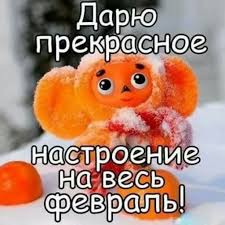 В случае стресса разбить стекло и погладить котенка. Kartinki K 1 Fevralya Zimnie Otkrytki S Pozhelaniyami